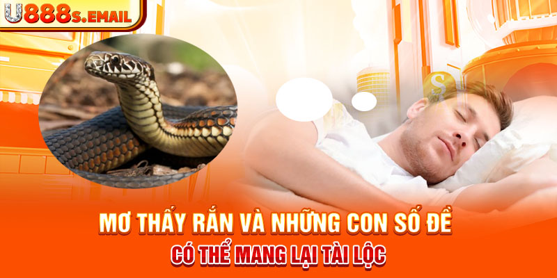 Mơ Thấy Rắn Và Những Con Số Đề Có Thể Mang Lại Tài Lộc