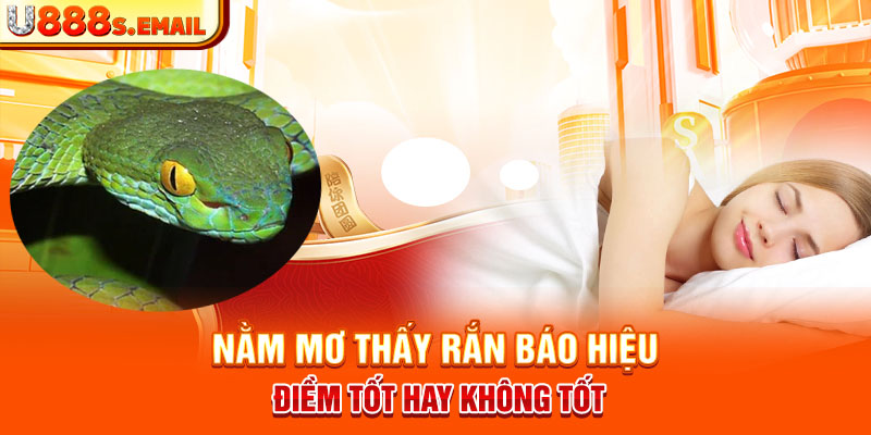 Nằm mơ thấy rắn báo hiệu điềm tốt hay không tốt