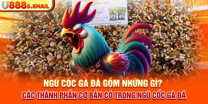 Ngũ cốc gà đá gồm những gì? Các thành phần cơ bản có trong ngũ cốc gà đá