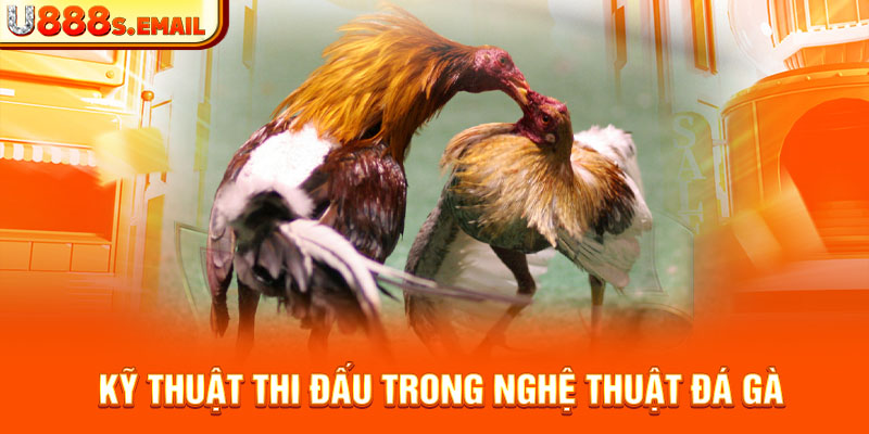 Kỹ thuật thi đấu trong nghệ thuật đá gà