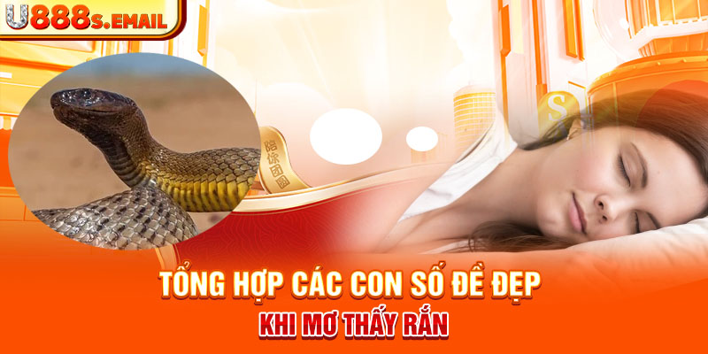 Tổng hợp các con số đề đẹp khi mơ thấy rắn