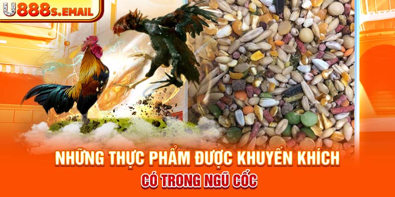 Những thực phẩm được khuyến khích có trong ngũ cốc