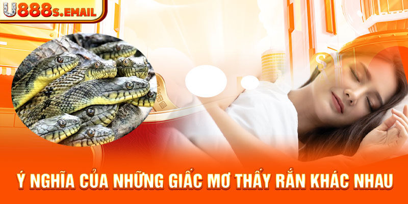 Ý nghĩa của những giấc mơ thấy rắn khác nhau