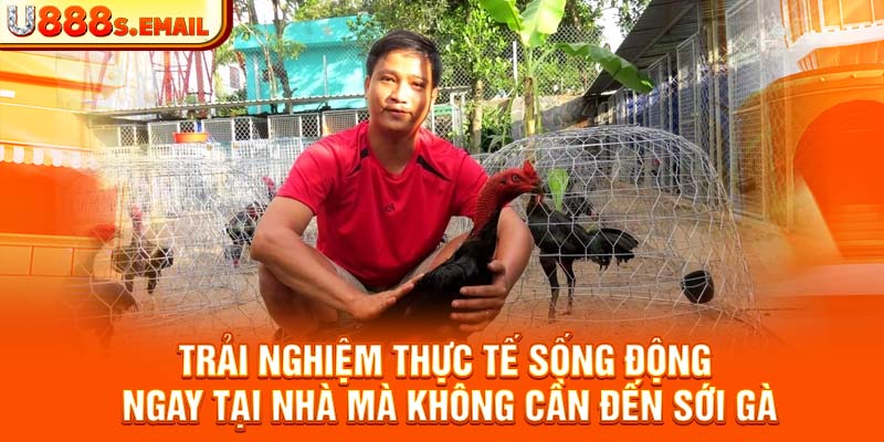 Trải nghiệm thực tế sống động ngay tại nhà mà không cần đến sới gà  