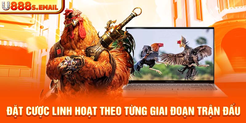 Đặt cược linh hoạt theo từng giai đoạn trận đấu  